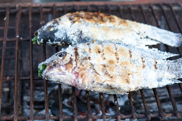 Tilapia fish grill on Grate