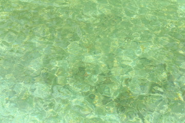 green water surface in pond