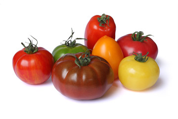 Fototapeta na wymiar Tomates variétés anciennes