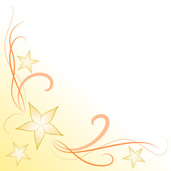 sfondo fiori frangipani