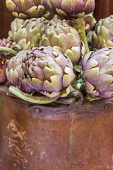 Obraz premium fresh artichokes / Brass pot with lots of fresh artichokes 