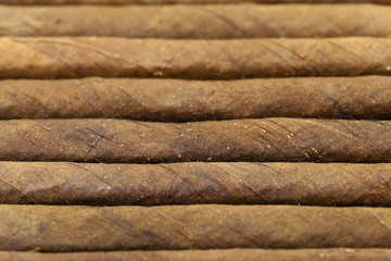 cigars  