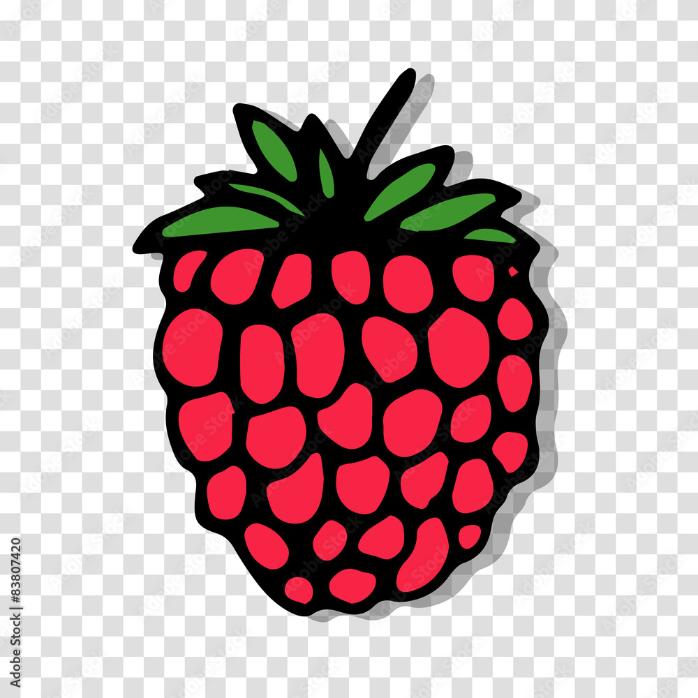 Leinwandbilder Raspberry sketch on transparent background for your design
