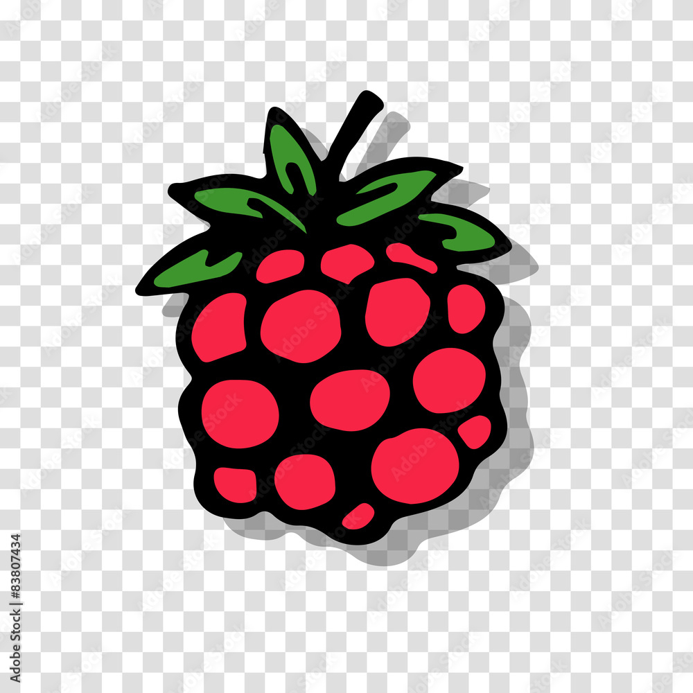 Leinwandbilder raspberry sketch on transparent background for your design