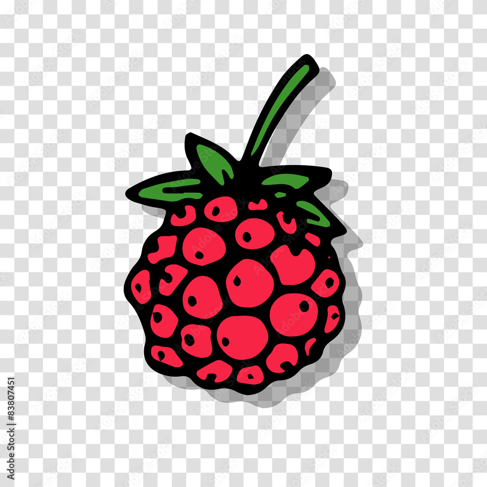 Aufkleber raspberry sketch on transparent background for your design