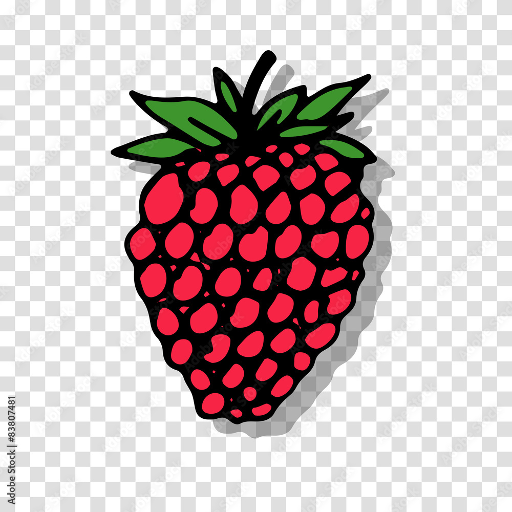 Fototapete raspberry sketch on transparent background for your design