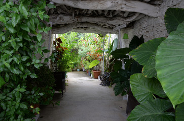 Obraz premium Haus in Milatos, Kreta