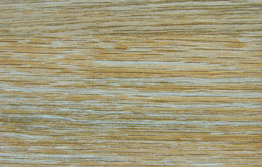   wood  background