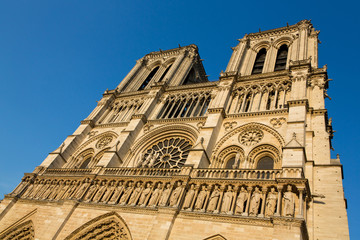 Cathédrale de notre-dame de Paris