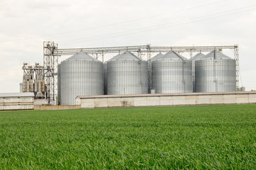 in the field of agricultural enterprise with capacity for grain