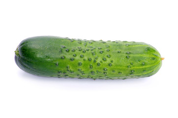 cucumber