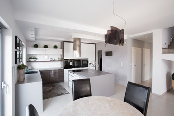 Big modern kitchen