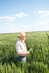 Senior farmer in a field looking into the distance