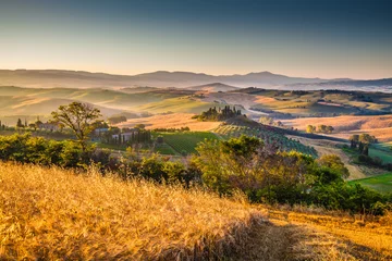 Foto op Canvas Scenic Tuscany landscape at sunrise, Val d'Orcia, Italy © JFL Photography