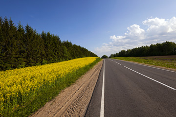 Naklejka premium the asphalted road 