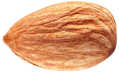Almond with leaves isolated.