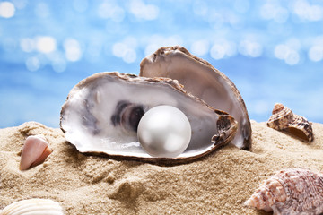 Shell with a pearl. - obrazy, fototapety, plakaty