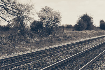 Train line, autumn season, monochrome