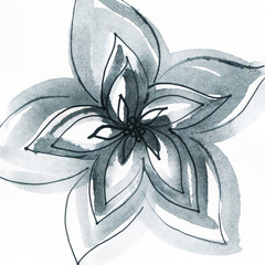 illustration of flower . watercolor painting