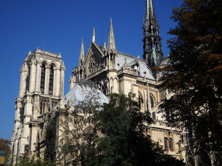 Perspectivas de Notre Dame