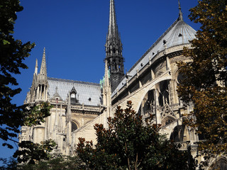 Obraz premium Perspectivas de Notre Dame