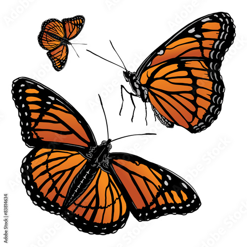 Free Free 250 Vector Monarch Butterfly Svg SVG PNG EPS DXF File