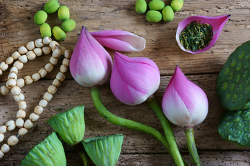 Collection lotus flower, seed, tea, healthy food