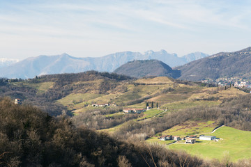 Fototapeta na wymiar Park of Montevecchia (Brianza)
