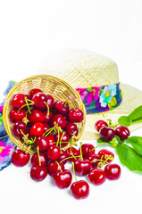 cerises