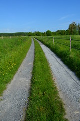 Marais de Troarn (Calvados)