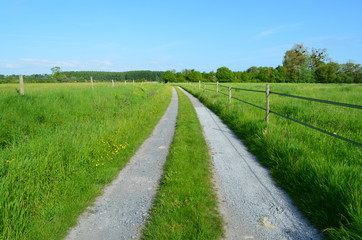 Marais de Troarn (Calvados)