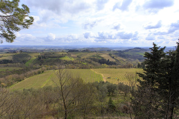 Obraz premium Tuscany wild landscape with field, groove, moody sky. Italy