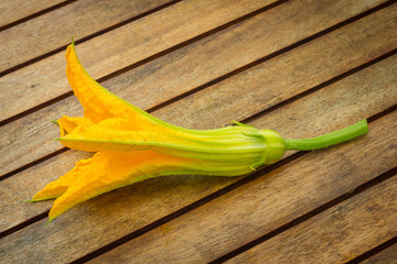 Zucchini flowers