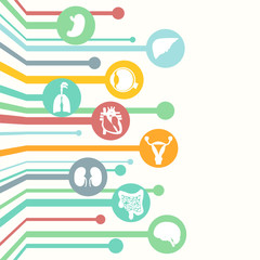 Concept of medical background. Human anatomy.