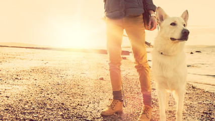 Girl playing with dog at a beach, strong lens flare effect - obrazy, fototapety, plakaty