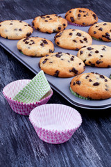 chocolate chip muffins