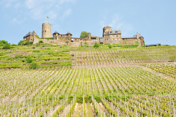 Fototapeta na wymiar Weinberge mit Burg Thurant im Hintergrund 
