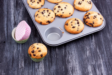 chocolate chip muffins