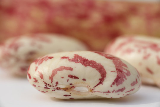 Raw Organic cranberry bean on white background