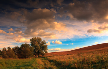 Letnia Warmia- Polska  © Wojciech Lisiński