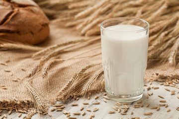 Glass of milk on background ears rye and bread.