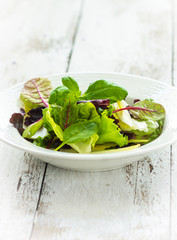 Summer leaf salad on a wooden background