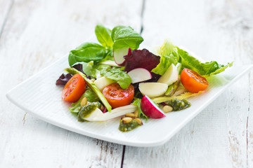 leafy salad and mozzarella with pesto and tomatoes