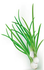 Green onions