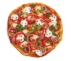 Big salami pizza