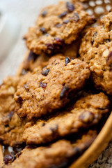 homemade oakmeal cookies with cranberries