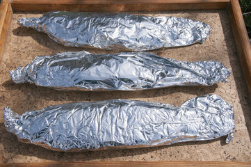 Gegrillter Fisch