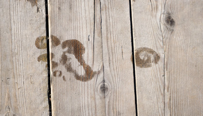 Footprint on wooden floor