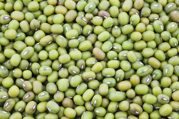 Mungo beans background (Vigna radiata)