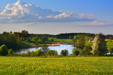 Spring landscape with lake - obrazy, fototapety, plakaty